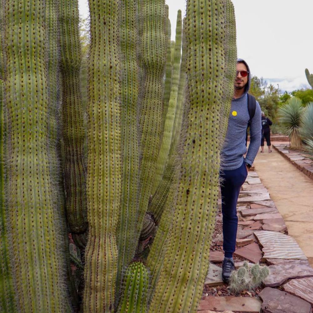 Meet your Posher, Nelson